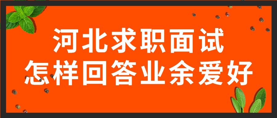 河北求职面试