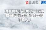 2022河北廊坊/霸州市行政审批局见习岗位招聘公告（10人）