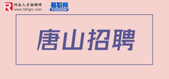 招聘储备干部