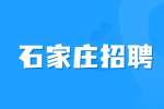 石家庄人才网：就业咨询老师7-10K