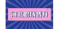 河北人才网：领导最不敢欺负的几种人