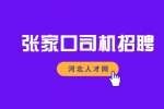 张家口人才网：景区开车专员 6000-7000元/月