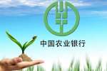 中国农业银行招聘专业要求及报名网站