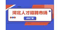 河北人才招聘市场