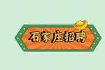 石家庄招聘会计