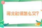 河北社保怎么交？