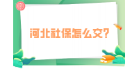 河北社保怎么交？
