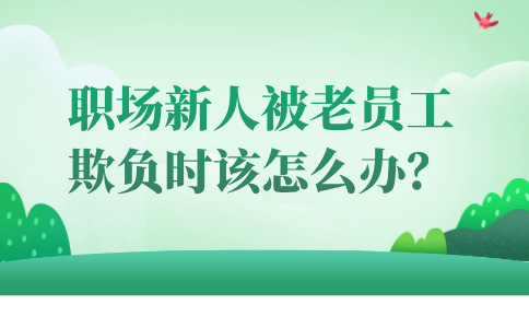 河北的职场新人被老员工欺负