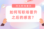 如何写河北职场晋升之后的感言？