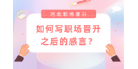 如何写河北职场晋升之后的感言？