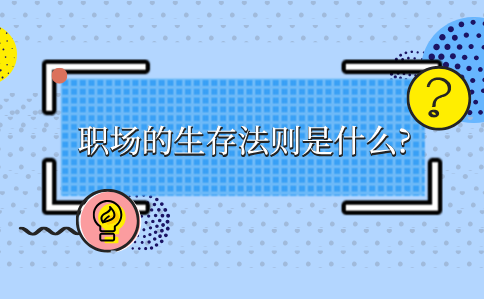河北职场的生存法则