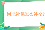 河北社保怎么补交？
