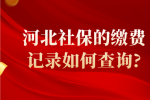 河北社保的缴费记录如何查询?