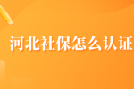 河北社保怎么认证？