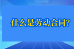 什么是劳动合同？