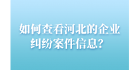 如何查看河北的企业纠纷案件信息？